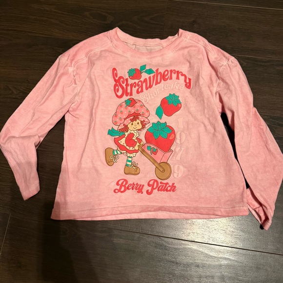 Strawberry Shortcake Other - STRAWBERRY SHORTCAKE SHIRT Girls 6/6x Pink Long Sleeve Top T "Berry Patch"